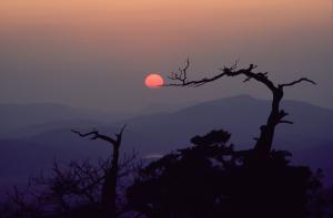 Sunset From Mt. Scott